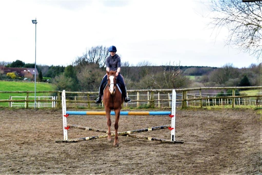 Hillfields Farm Barn - A Rural Equestrian Escape Appartement Coventry Buitenkant foto